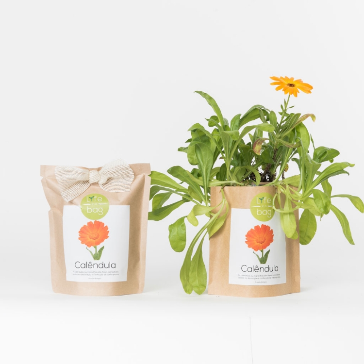 Grow your own calendula in this bag