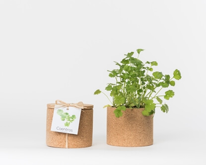 Grow your coriander in this cork pot
