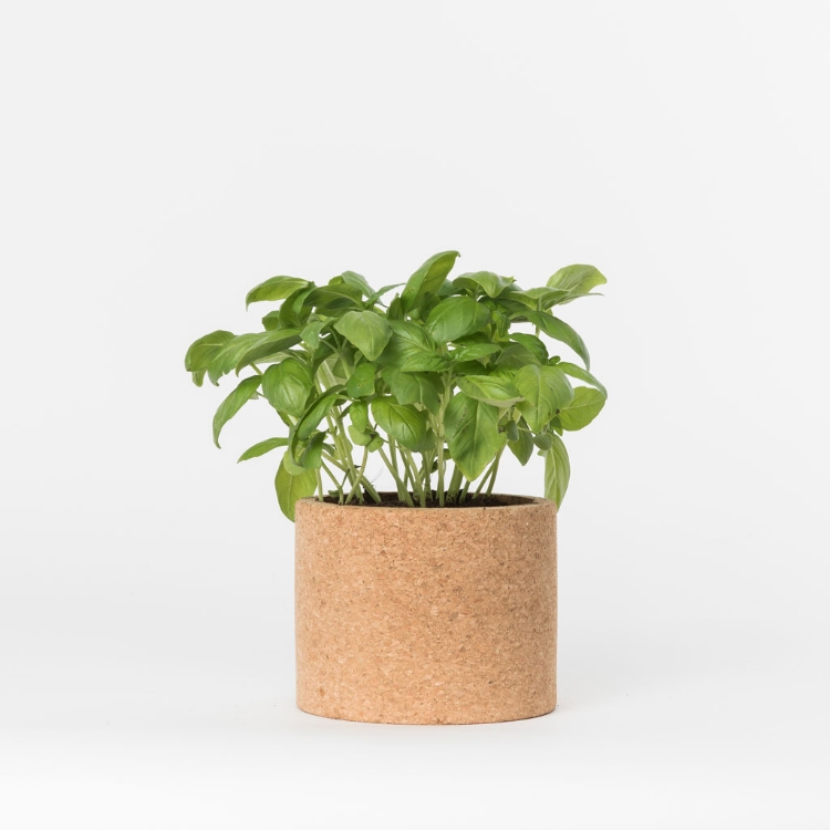 Grow your own  basil in this cork pot