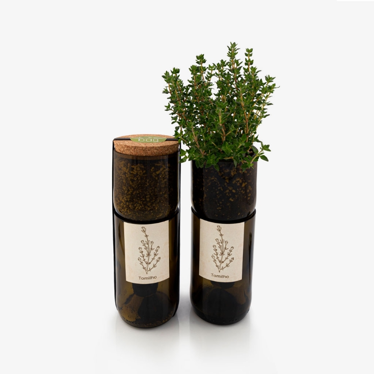 Grow thyme in this bottle