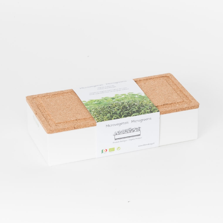 Grow microgreens of rocket and cress