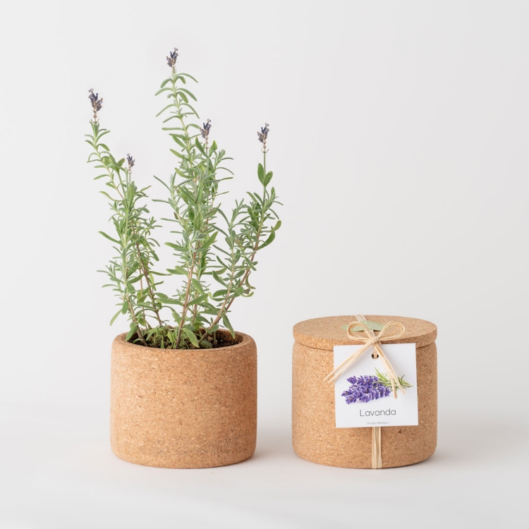 Picture of Lavender Grow Cork