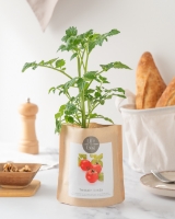 Picture of Seeds of fruits - Pack of 4