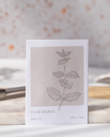 Imagen de Semillas Biológicas Personalizadas