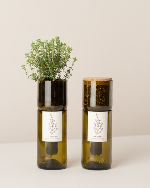 Grow thyme in this bottle